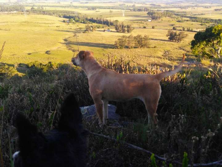 Granja en venta en Aiguá