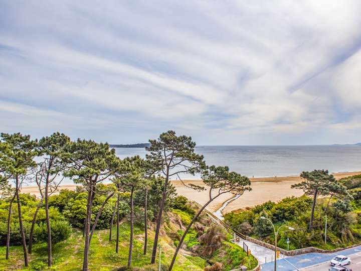 Apartamento en venta en Punta Del Este