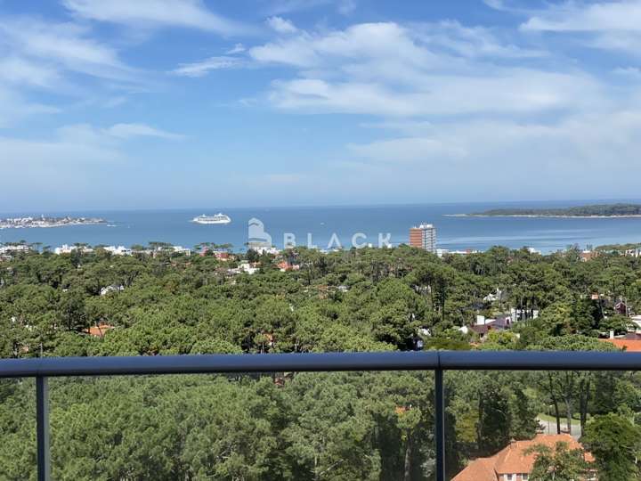 Apartamento en venta en Punta Del Este