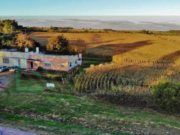 Granja en venta en Centro, Montevideo