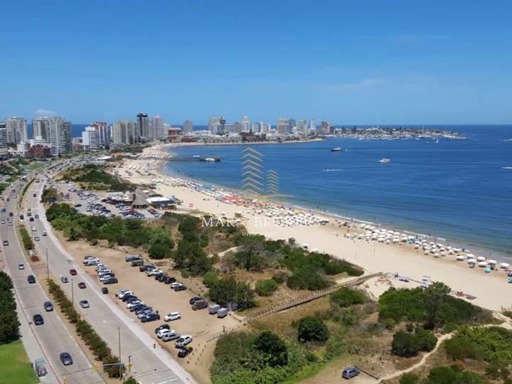 Apartamento en venta en Rambla Doctor Claudio Williman, Punta Del Este